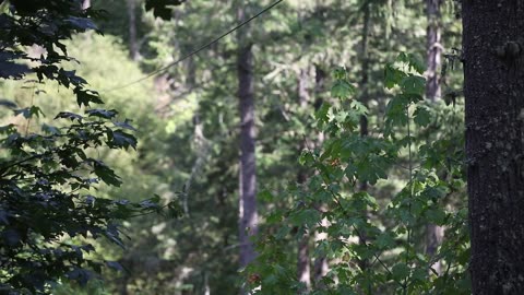 Bethany Middle School Camp - Highlights