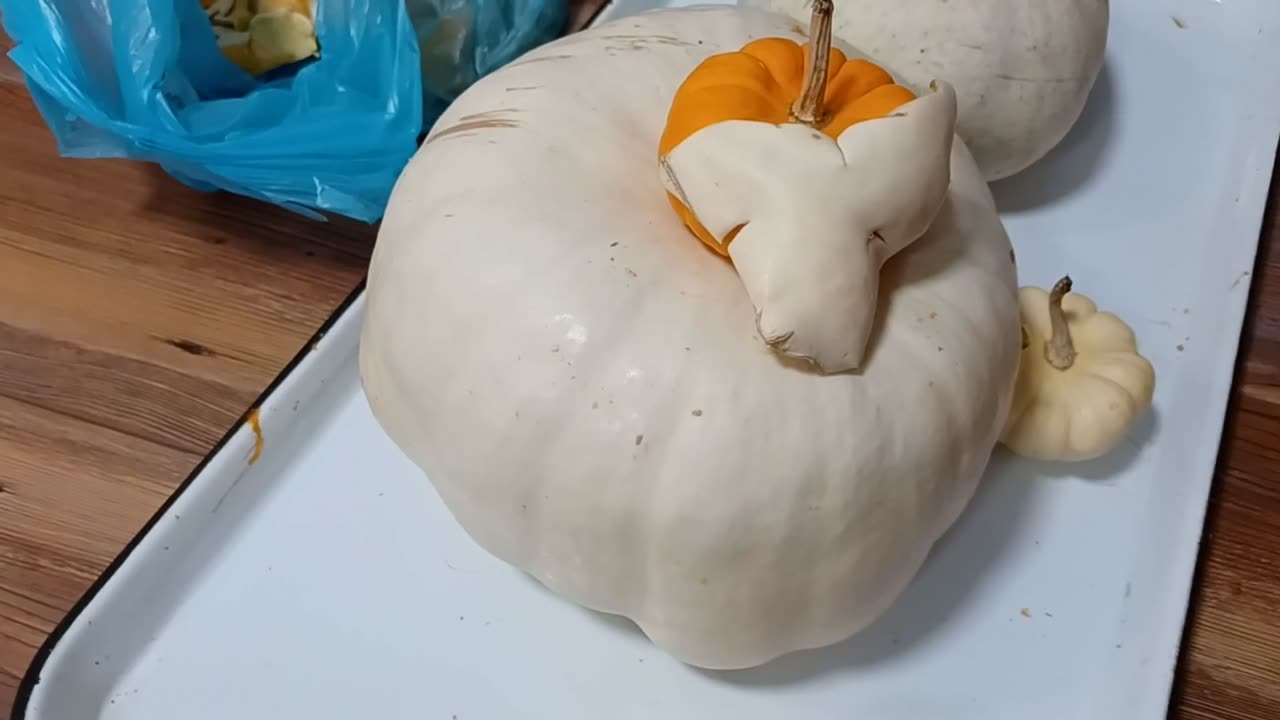 I made an award winning Cinderella scene from gords