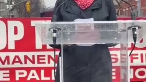 ✨🗣️ Susan Sarandon's Inspiring Pro-Palestinian Speech with Napoleon Quote! | FeedMyCuriosity