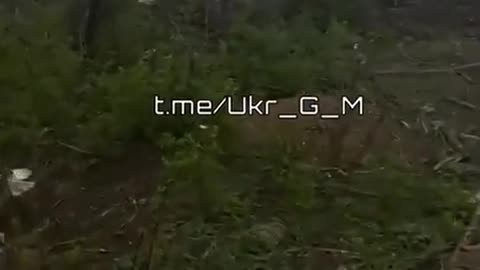 💣🇷🇺 Ukraine Russia War | Destroyed AFU Bushmaster in Konstantinovka | RCF