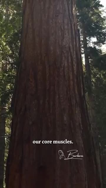 Barbara O'Neill - On How Important Our Abdominal Muscles Are In The Breathing Process