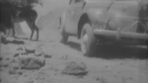 [ON THE TRACK OF THE INCAS PERU AND B... - [ON THE TRACK OF THE INCAS PERU AND BOLIVIA] - fc-fc-1588