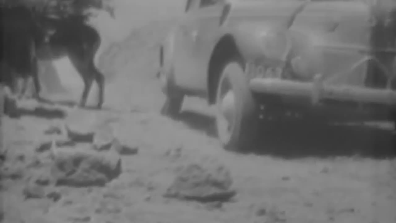 [ON THE TRACK OF THE INCAS PERU AND B... - [ON THE TRACK OF THE INCAS PERU AND BOLIVIA] - fc-fc-1588