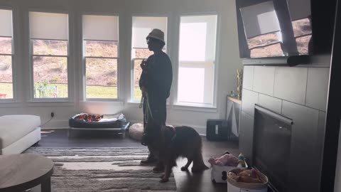 Helping a reactive dog who doesn't allow visitors