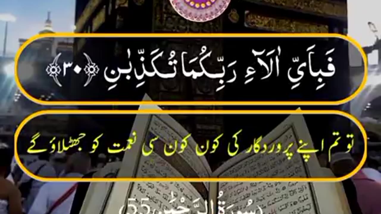 Beshak 💯