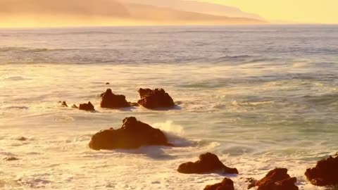 CLASSIC BREEZE DOLPHIN BEACH