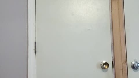 Wish Thong Try On Haul
