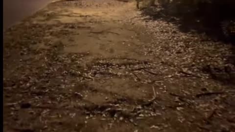 😨💥 Shocking Paranormal Footage! Ouija & Aliens | TheHauntingHour