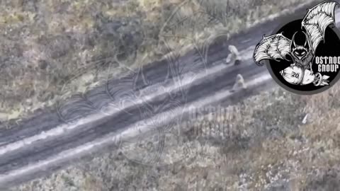 An unsuccessful trip to the watering hole of two brothers-in-arms