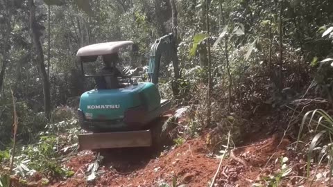 The Grind: Steep Mountain Forest Cleanup from an Excavator's Eye! (USA)