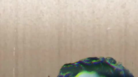 The Holy Art of Letting Go