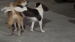 😂💃 Whoa, This Dance Move Will LEAVE YOU SPEECHLESS! | FunFM