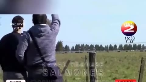 👽😱 Cow Abducted Live on TV! | TheTruthAbove