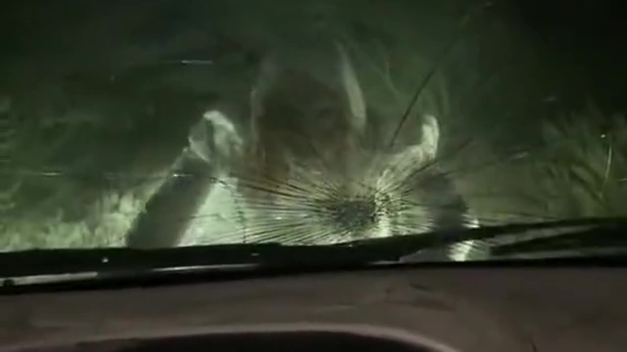 😱👻 Replying to @wolloms_e! You Won't Believe What Happens Next! | TheHauntingHour