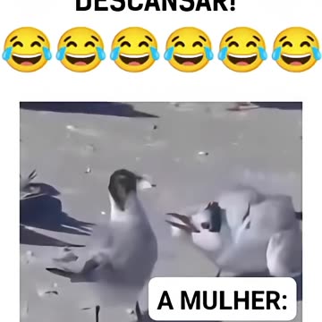 Agora vou descansar 🤣😂