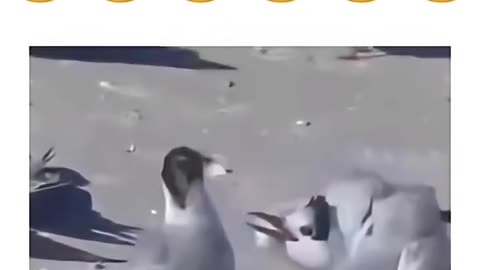 Agora vou descansar 🤣😂