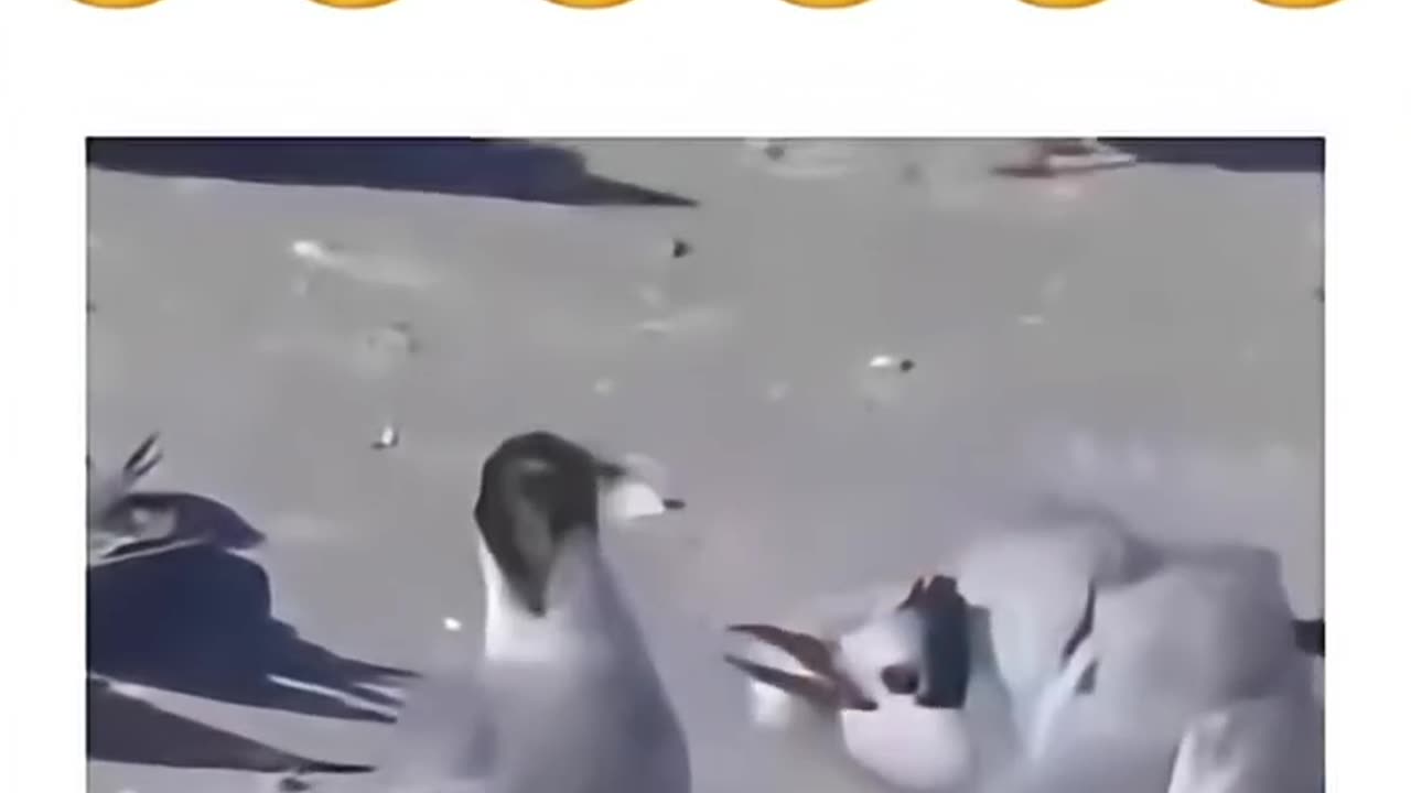 Agora vou descansar 🤣😂