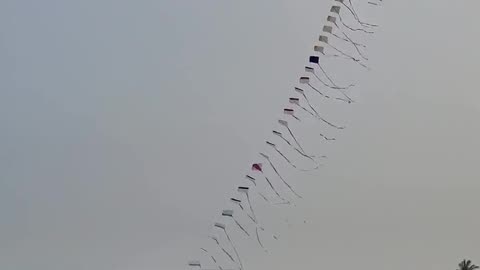🎥😊 Elderly Kite Seller Creates a Ghibli Moment That'll Warm Your Heart! | FeedMyCuriosity