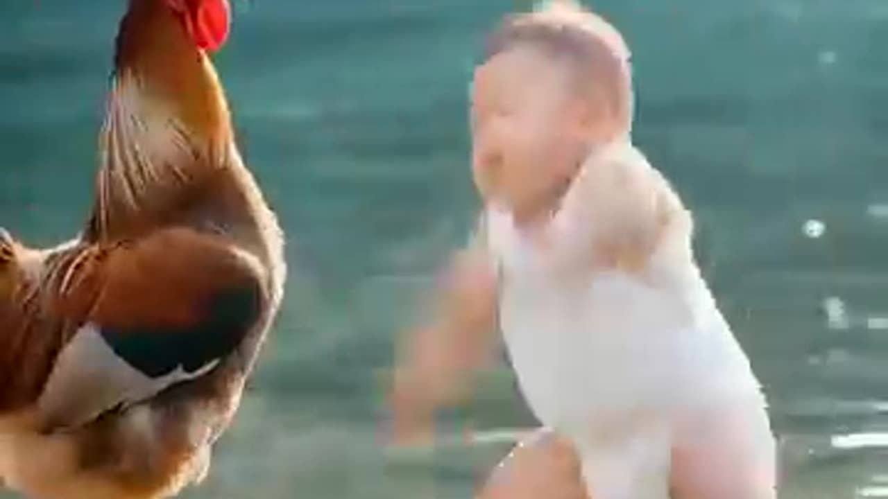 Ai generated video look like real | baby boy fighting with rooster #ai #cute #foryou #shorts