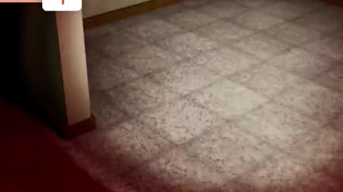 Inside The Backrooms Funny Moments | #insidethebackrooms #horror #horrorgames