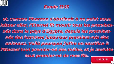 🚶‍♂️ “La sortie d’Égypte et la conduite de Dieu” Exode 13:1-22.#shortvideo #shorts #youtubeshorts