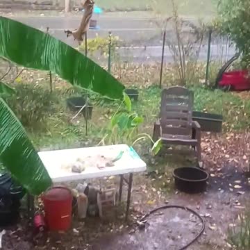 Tornado finally fucks off