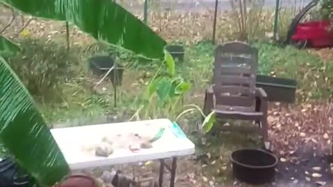 Tornado finally fucks off