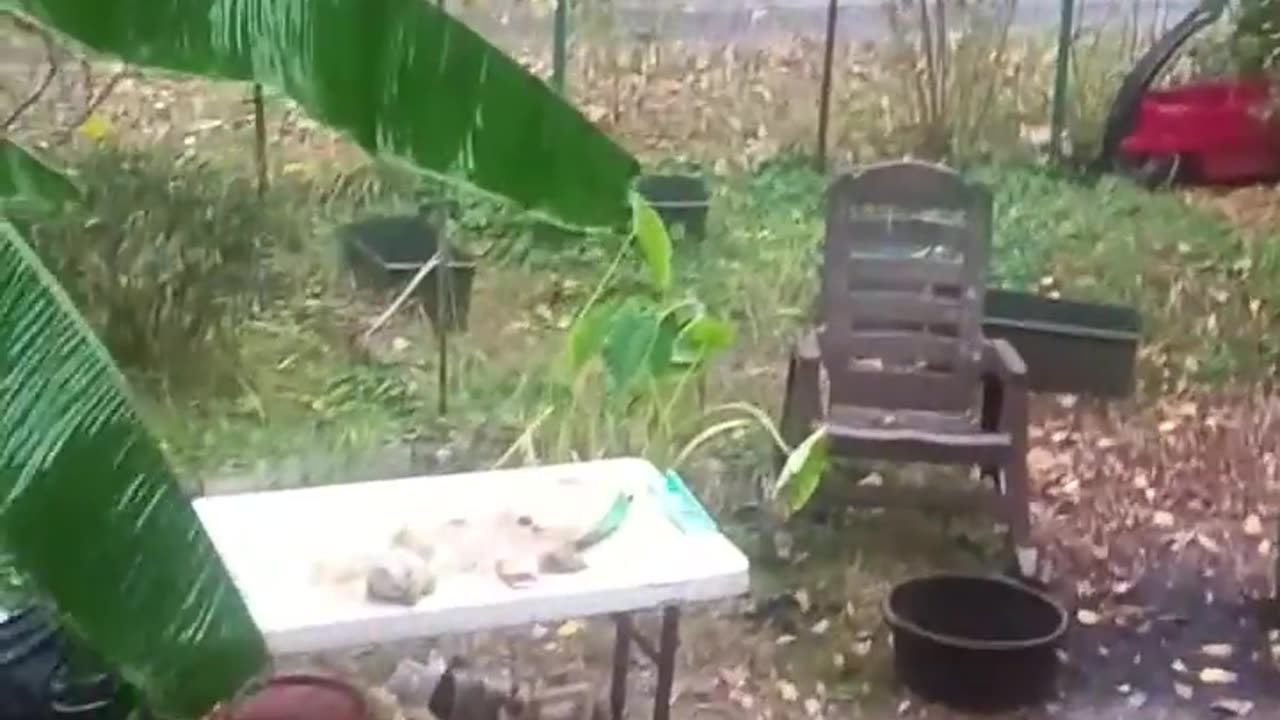 Tornado finally fucks off