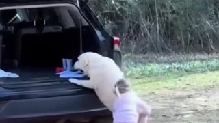 Woe Day 136. I am in the ark. Waiting for GOD to open the Door for a spring/summer Pentecost rapture