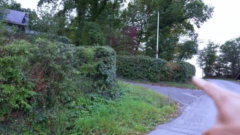 Warum jeder über 30 diese Pflanze kennen muss (und wo sie zu finden ist)