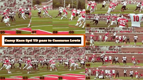 Prototype 279: Casey Kacz 3yd TD pass to Caesarae Lewis Buffalo State Cortland