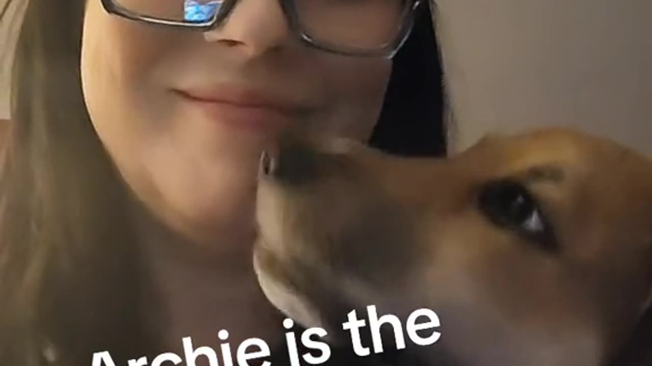 Archie is the sweetest boy