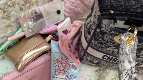 What's in my Lady D-Lite Handbag & Review