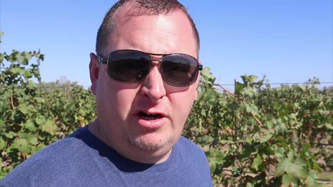 What is Walla Walla Wine Know For?