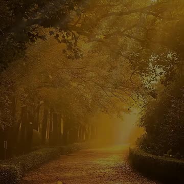 ИДИ ВПЕРЕД #shrots #tompitai #томпитай