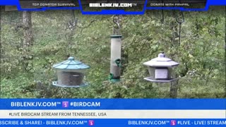 BIBLENKJV.COM™ 🛐 10/08/2025 #LIVE #WEATHER #KNOXVILLE