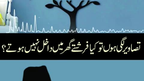 Ghar Main Tasweer Lagana Kasa Hai ? | Dr. Israr Ahmed R.A | Question Answer