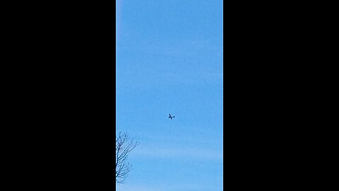 drac democrats tormenting human Americans