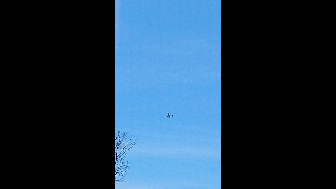 drac democrats tormenting human Americans