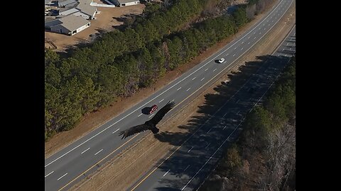 🦅 Grandma Got Ran Over By A Reindeer - Postmodern Jukebox Ft. Sunny Holiday 🦅