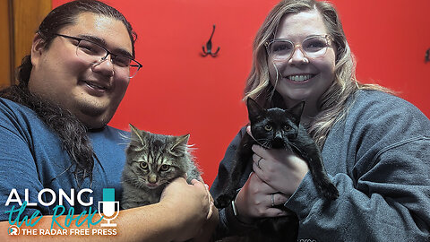 "Meet Molly & Butternut 🐾 Resilient Kittens from Granny Rose Animal Shelter | Pet of the Week"