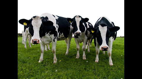 Human Energy Harvesting, EH-WBAN 802.11