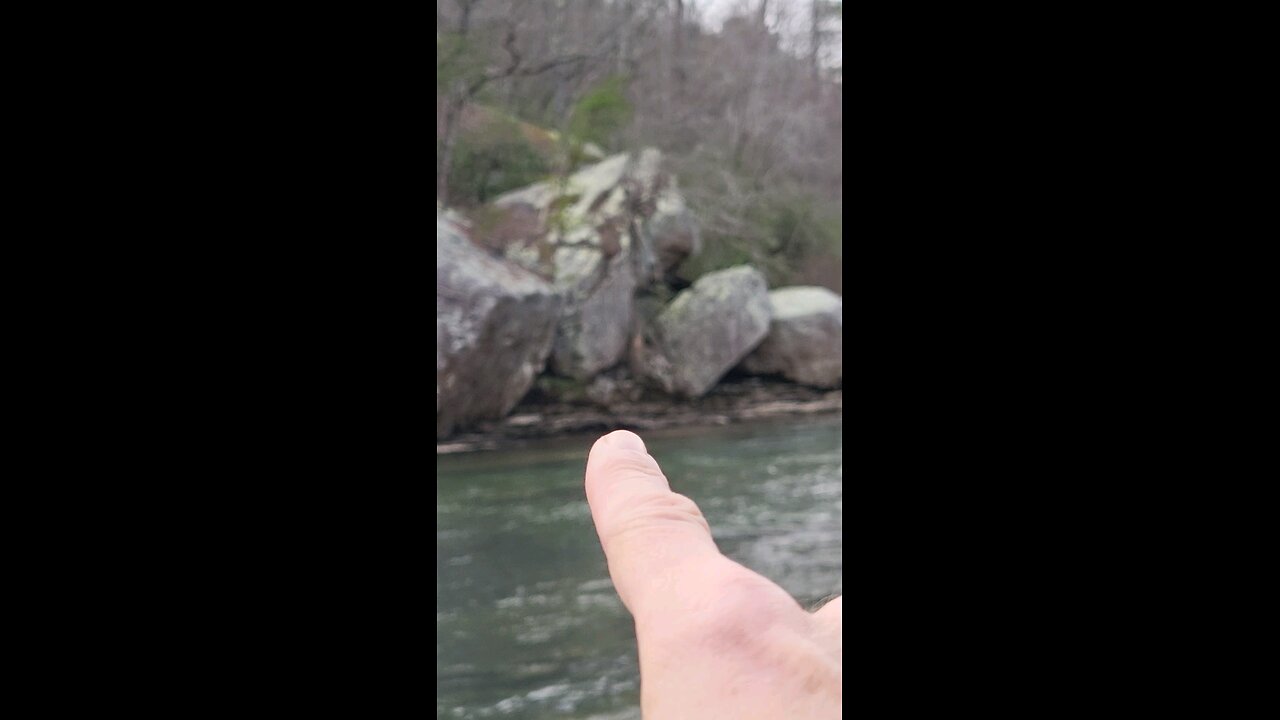 Little River #2 The Weird Turn Pro