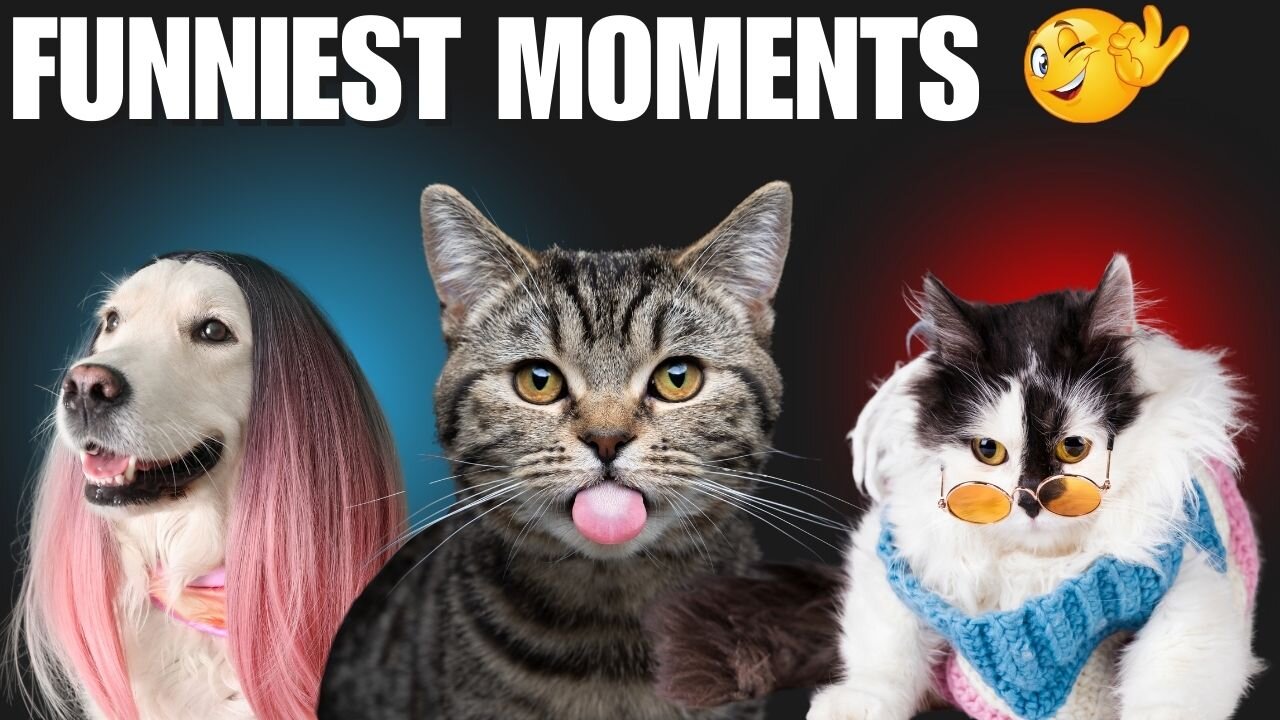 ✅ "Funniest Animals Ever! Wait Till the End! 🤣🐱"