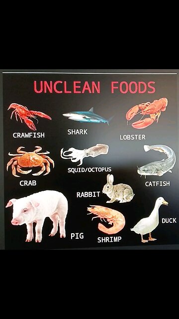 #02_Dietary Food Law