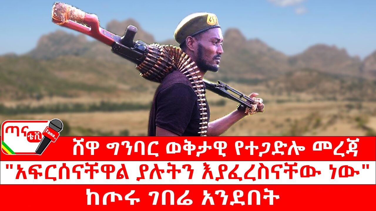 ጣና ግንባር፦የዐርበኞች መስመር… ሸዋ ግንባር ወቅታዊ የተጋድሎ መረጃ፤ "አፍርሰናቸዋል ያሉትን እያፈረስናቸው ነው"፤ ከጦሩ ገበሬ አንደበት