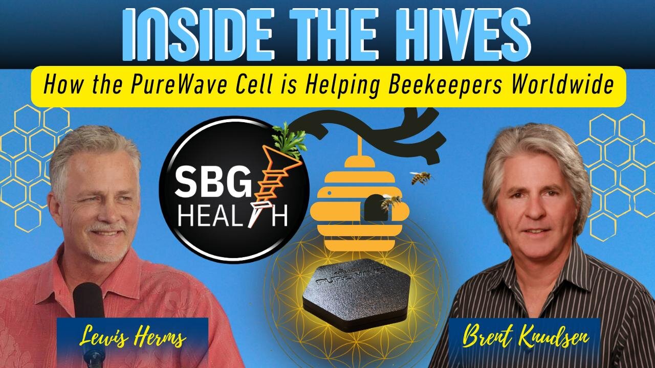 From Collapse to Coherence | How we are Saving Bees & Our Food Supply