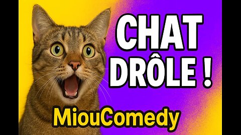 🐱 Features Cats:Whiskers:dramaticreactions&epressions