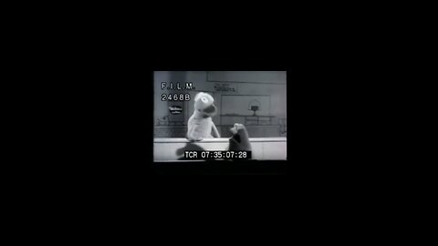 Wilkins Coffee #vintage ad (161) #coffee #Wilkinscoffee #jimhenson #muppets