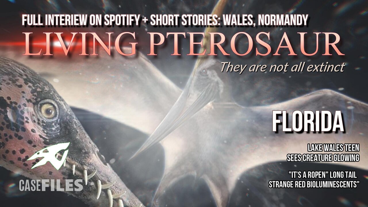 The Ropen Network - Case Files EP 2 Florida | Pterosaurs